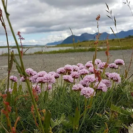 Сasa de vacaciones Storoy - En Perle I Lofoten Bostad