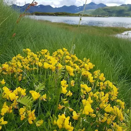 Storoy - En Perle I Lofoten Сasa de vacaciones *