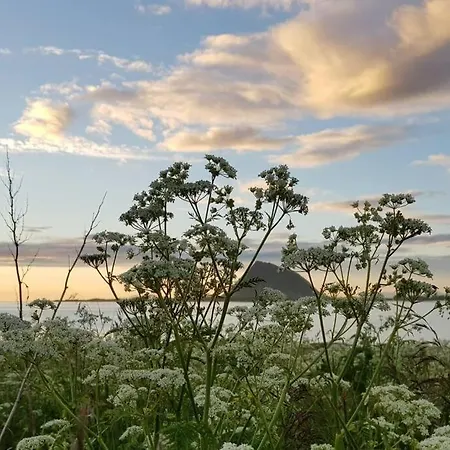 Storoy - En Perle I Lofoten