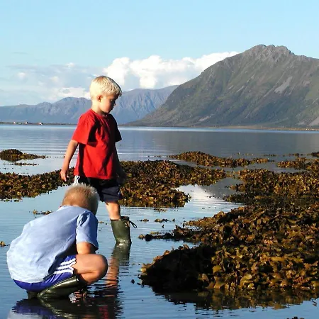 Storoy - En Perle I Lofoten Сasa de vacaciones Bostad